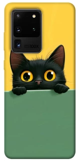 Чехол на Samsung Galaxy S20 Ultra Black cat v2 фото 1 из 1