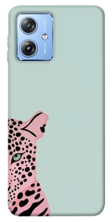 Чохол на Motorola Moto G84 Leopard Art фото 1 з 1