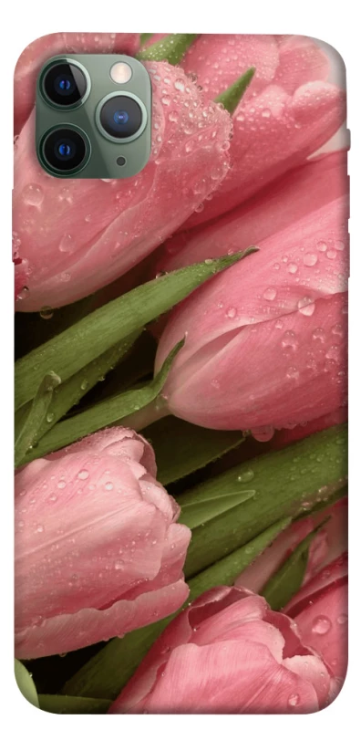 Чохол на Apple iPhone 11 Pro Max (6.5") Beauty фото 1 з 1