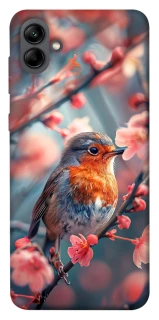 Чехол на Samsung Galaxy A04 Birdie фото 1 из 1