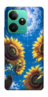 Чохол на Realme GT 7 Sunflowers фото 1 з 1