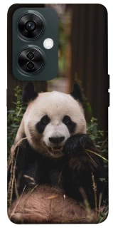 Чехол на OnePlus Nord CE 3 Lite Панда фото 1 из 1