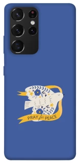 Чохол на Samsung Galaxy S21 Ultra Ластівка фото 1 з 1