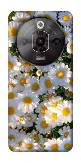 Чехол на ZTE Nubia Focus Pro Поле ромашек фото 1 из 1