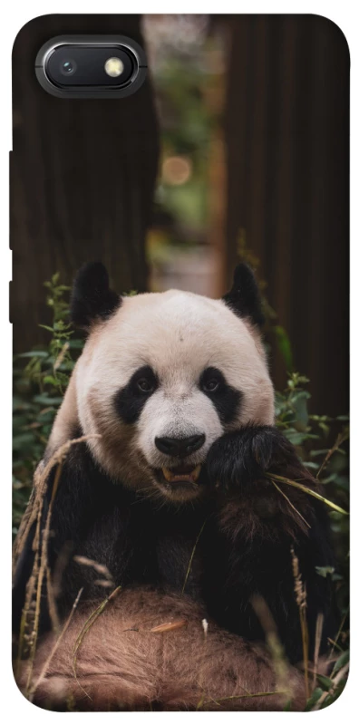 Чохол на Xiaomi Redmi 6A Панда фото 1 з 1