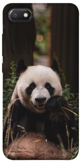 Чехол на Xiaomi Redmi 6A Панда фото 1 из 1