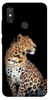 Чехол на Xiaomi Mi 8 Leopard v2 фото 1 из 1