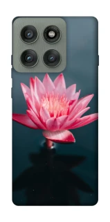 Чохол на Motorola Edge 60 Pro Лотос фото 1 з 1