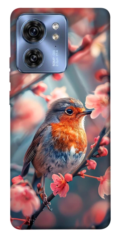 Чехол на Motorola Edge 40 Birdie фото 1 из 1