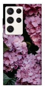 Чохол на Samsung Galaxy S23 Ultra Рожеві гартензії фото 1 з 1