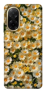 Чохол на Xiaomi Redmi A5 (Europe version) Camomile фото 1 з 1