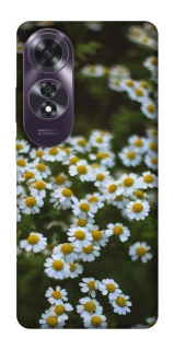 Чехол на Oppo A60 Ромашки v13 фото 1 из 1