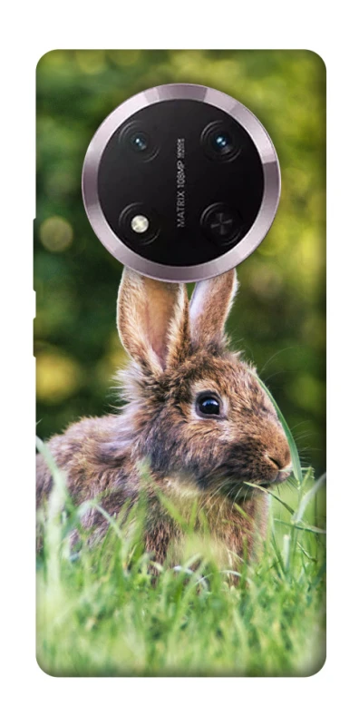 Чехол на Honor X9c Кролики фото 1 из 1