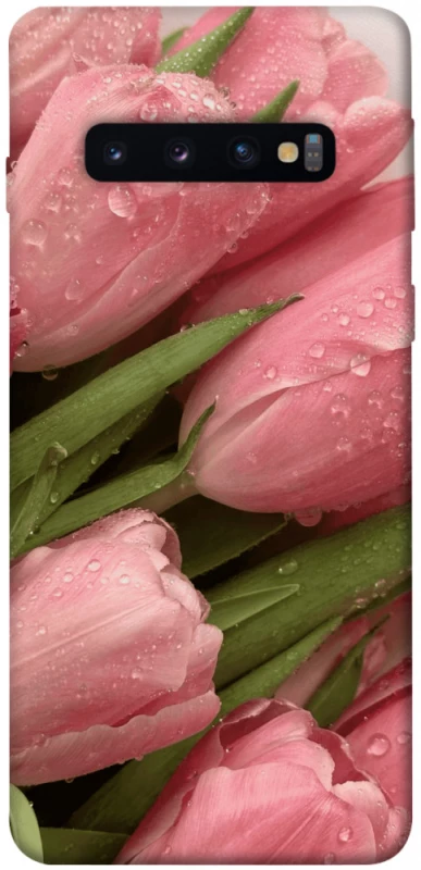 Чохол на Samsung Galaxy S10 Beauty фото 1 з 1