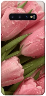 Чохол на Samsung Galaxy S10 Beauty фото 1 з 1