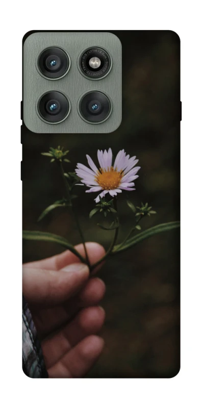 Чохол на Motorola Edge 60 Pro Ромашка v4 фото 1 з 1