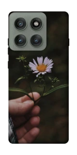 Чохол на Motorola Edge 60 Pro Ромашка v4 фото 1 з 1