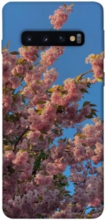 Чехол на Samsung Galaxy S10 Flowers v4 фото 1 из 1