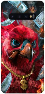 Чехол на Samsung Galaxy S10 Попугай фото 1 из 1