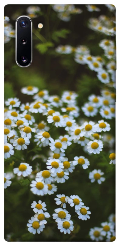 Чехол на Samsung Galaxy Note 10 Ромашки v13 фото 1 из 1