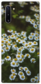 Чехол на Samsung Galaxy Note 10 Ромашки v13 фото 1 из 1