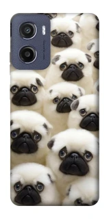 Чохол на Motorola Moto G05 Doggy Pug Love фото 1 з 1