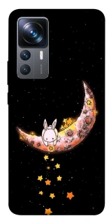 Чохол на Xiaomi 12T / 12T Pro Moon rabbit фото 1 з 1