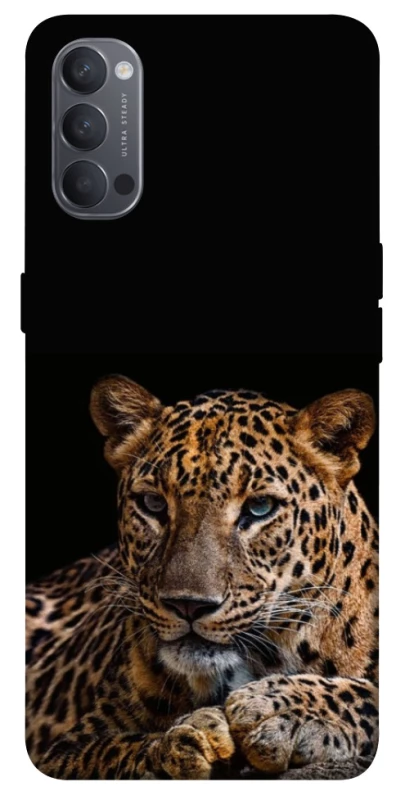 Чехол на Oppo Reno 4 Leopard v4 фото 1 из 1