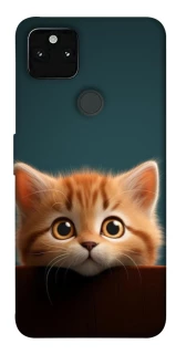 Чехол на Google Pixel 5A Чехол Котёнок фото 1 из 1