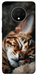 Чохол на OnePlus 7T Cat paws фото 1 з 1