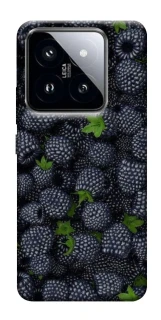 Чохол на Xiaomi 14 Pro Fresh фото 1 з 1