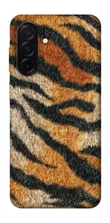 Чехол на Samsung Galaxy A26 5G Tiger фото 1 из 1