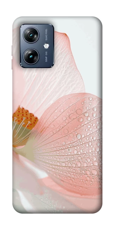 Чехол на Motorola Moto G54 Power Flowers zon фото 1 из 1