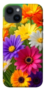 Чехол на Apple iPhone 14 (6.1") Flowers v32 фото 1 из 1