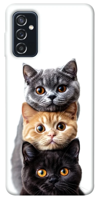 Чохол на Samsung Galaxy M52 Гарні котики фото 1 з 1