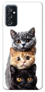 Чохол на Samsung Galaxy M52 Гарні котики фото 1 з 1