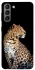 Чохол на Samsung Galaxy S21 Leopard v2 фото 1 з 1