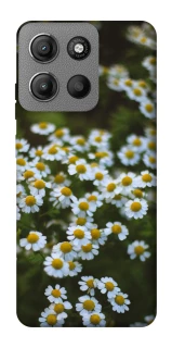 Чохол на Motorola Moto G15 4G Ромашки v13 фото 1 з 1