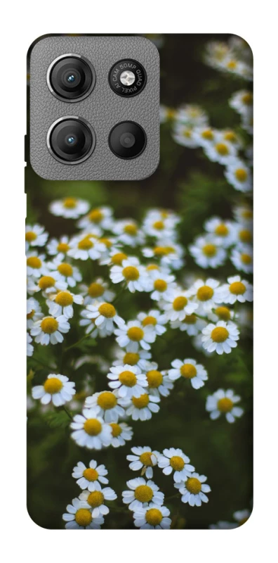 Чохол на Motorola Moto G15 Power Ромашки v13 фото 1 з 1
