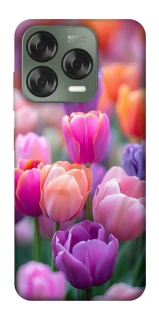 Чохол на ZTE Nubia V70 Design Тюльпанове поле фото 1 з 1