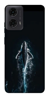 Чехол на Motorola Moto G24 Whale фото 1 из 1