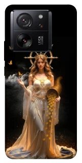 Чехол на Xiaomi 13T Pro Fortuna фото 1 из 1