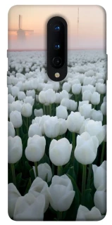 Чохол на OnePlus 8 Flowers v1 фото 1 з 1