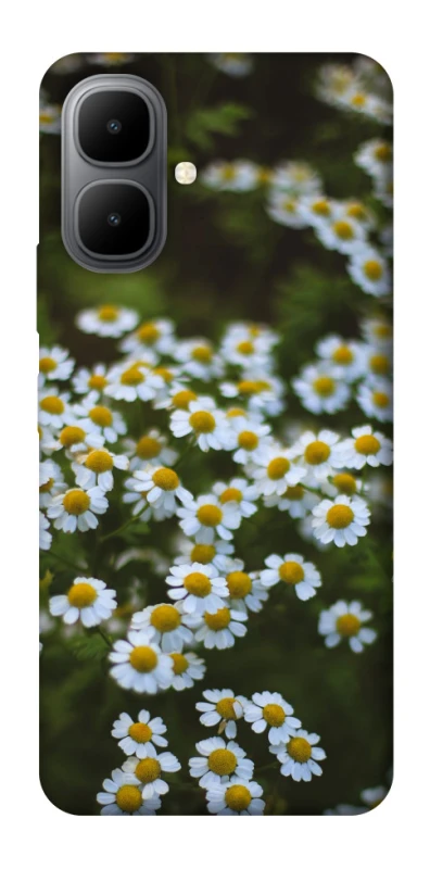 Чохол на Infinix Smart 10 Ромашки v13 фото 1 з 1