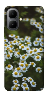 Чехол на Infinix Smart 10 Ромашки v13 фото 1 из 1