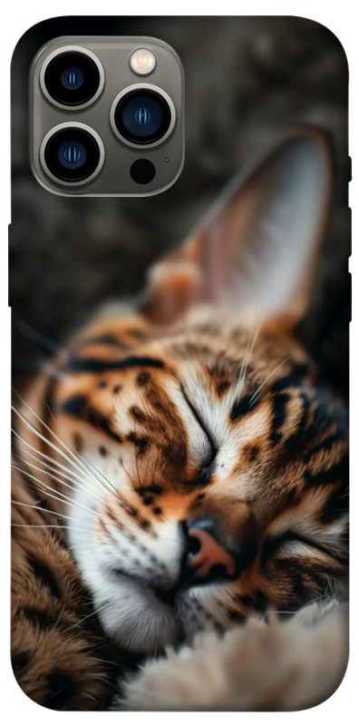 Чехол на Apple iPhone 13 Pro Max (6.7") Cat paws фото 1 из 1