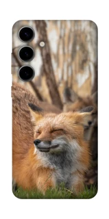 Чехол на Samsung Galaxy S25 Лиса фото 1 из 1