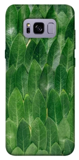Чохол на Samsung G955 Galaxy S8 Plus Листя фото 1 з 1