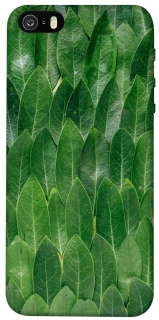 Чохол на Apple iPhone 5/5S/SE Листя фото 1 з 1