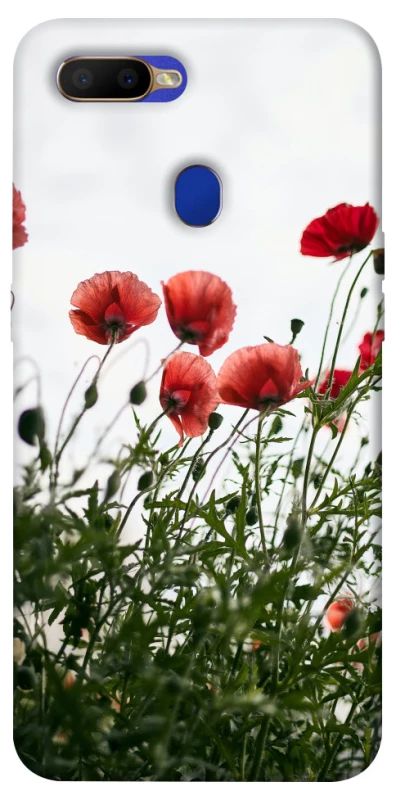 Чохол на Oppo A5s Поле маків фото 1 з 1